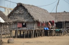benin2533 benin2533