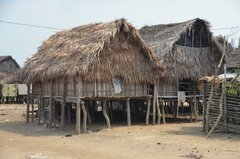 benin2534 benin2534