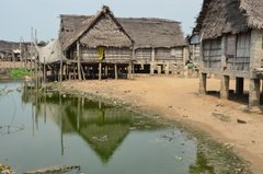 benin2536 benin2536