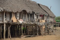 benin2538 benin2538