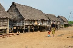 benin2539 benin2539