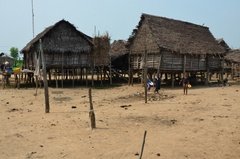 benin2541 benin2541