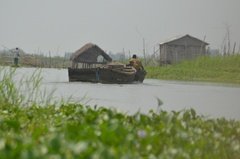benin2553 benin2553