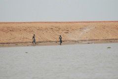 benin2756 benin2756
