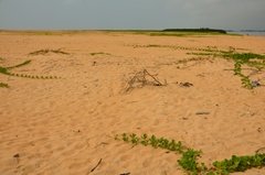 benin2761 benin2761