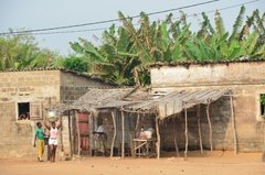 benin2784 benin2784