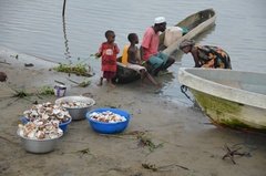benin2786 benin2786