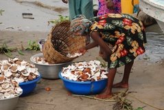 benin2787 benin2787