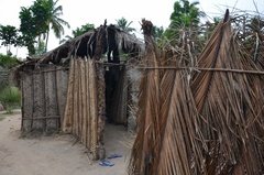 benin2793 benin2793