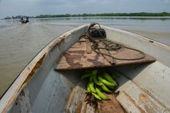 benin2795 benin2795