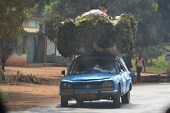 benin3016 benin3016