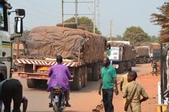 benin3019 benin3019