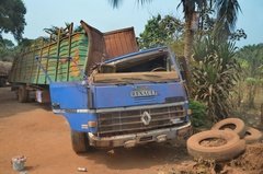 benin3029 benin3029