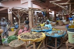 benin3275 benin3275