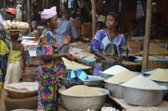benin3277 benin3277
