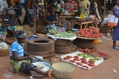 benin3279 benin3279