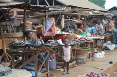 benin3284 benin3284