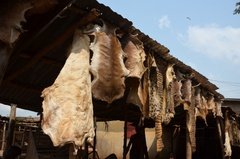 benin3287 benin3287