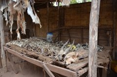 benin3288 benin3288