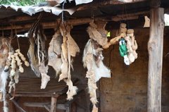 benin3294 benin3294
