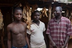 benin3297 benin3297