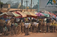 benin3301 benin3301