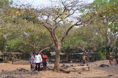 benin4001 benin4001