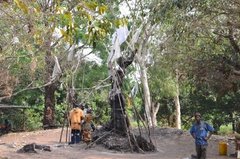 benin4002 benin4002