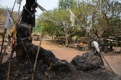 benin4003 benin4003