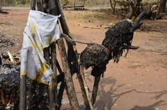 benin4012 benin4012