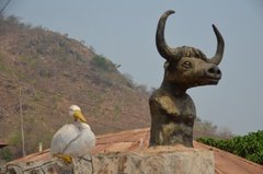 benin4050 benin4050