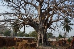benin4072 benin4072