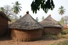 benin4084 benin4084