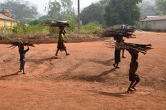 benin4097 benin4097