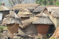 benin4111 benin4111