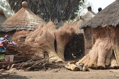 benin4113 benin4113
