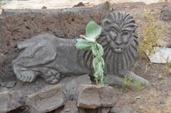 benin4131
