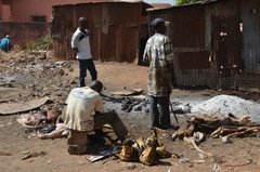 benin4509 benin4509