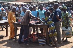 benin4512 benin4512