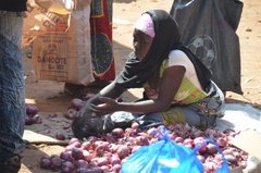 benin4513 benin4513