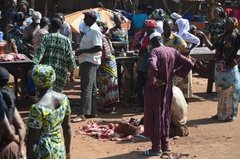 benin4514 benin4514