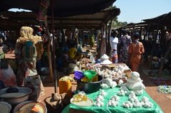 benin4517 benin4517
