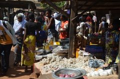 benin4518 benin4518