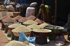 benin4519 benin4519