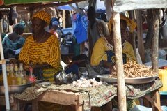 benin4521 benin4521
