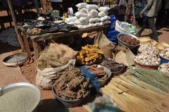 benin4522 benin4522