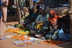 benin4524 benin4524