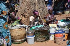 benin4527