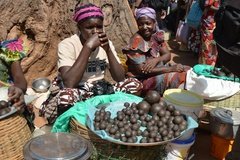 benin4528 benin4528