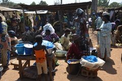 benin4529 benin4529